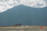 Sony A6000 | Sony 28-70mm | 1/400 | f8 | ISO 100 | Single Exposure